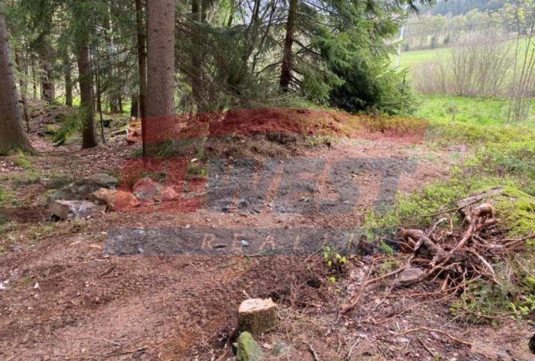 PRODEJ POZEMKU NA ZADOVĚ - CENTRÁLNÍ ŠUMAVA