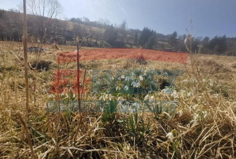 PRODEJ POZEMKU K VÝSTAVBĚ CHATY 561 m2 V SUŠICI