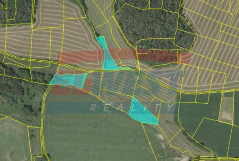 PRODEJ IDEÁLNÍ 1/2 ZEMĚDĚLSKÝCH POZEMKŮ V BUDĚTICÍCH