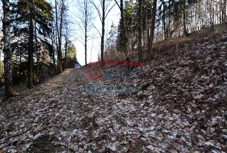 Prodej strážního domu na polosamotě - Šumava