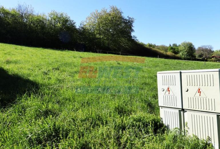 PRODEJ POZEMKU URČENÉHO K VÝSTAVBĚ CHATY, MALÉHO RD V SUŠICI