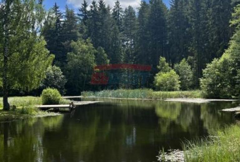 PRODEJ DOMU NA ŠUMAVĚ NA SAMOTĚ U LESA S VLASTNÍM RYBNÍKEM A ROZLEHLÝM POZEMKEM