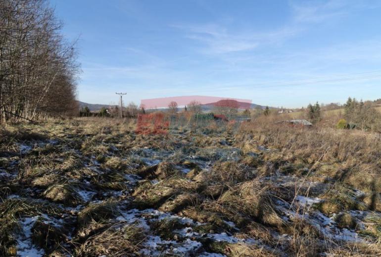 PRODEJ POZEMKU 588M2 URČENÝ K VÝSTAVBĚ SE ZAHRADOU/ POZEMKEM 5224M2 V DLOUHÉ VSI