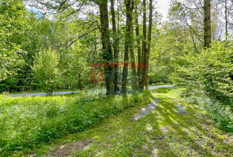 Prodej rekreačního domu na šumavské samotě u Horní Vltavice
