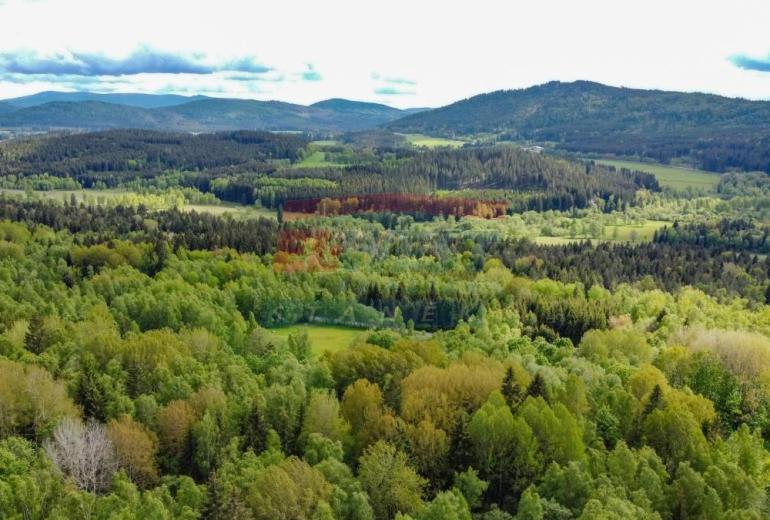 Prodej rekreačního domu na šumavské samotě u Horní Vltavice