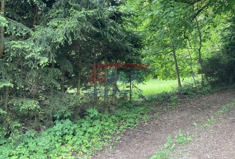 Prodej pozemku 634 m2 k výstavbě chaty v Sušici