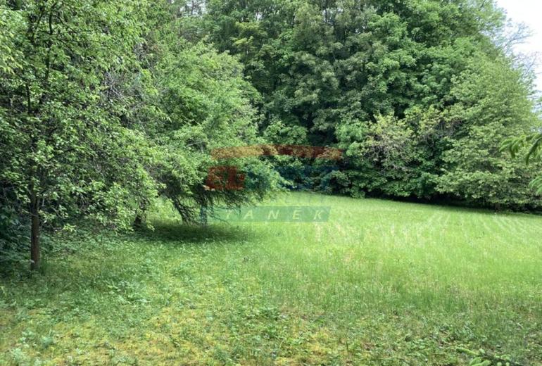 Prodej pozemku 650 m2 k výstavbě chaty v Sušici
