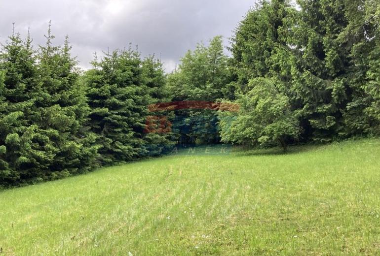 Prodej pozemku 650 m2 k výstavbě chaty v Sušici