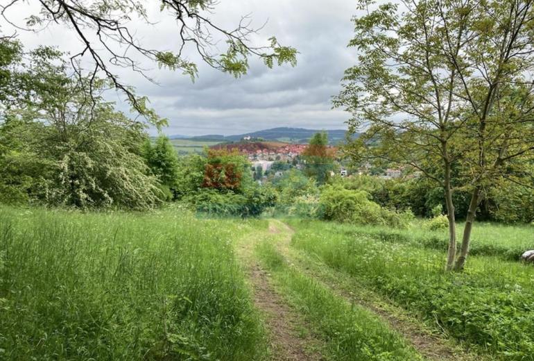 Prodej pozemku 650 m2 k výstavbě chaty v Sušici