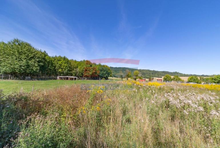 Na prodej pozemek 1096 m² v Sušici - Vaše investice do budoucna