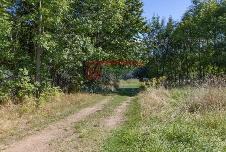 Na prodej pozemek 1096 m² v Sušici - Vaše investice do budoucna