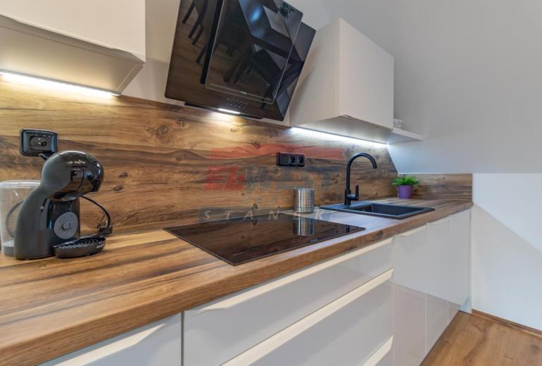 Prodej klimatizovaného apartmánu č.2  2+kk v Rezidenci Jiřičné u Sušice, Šumava