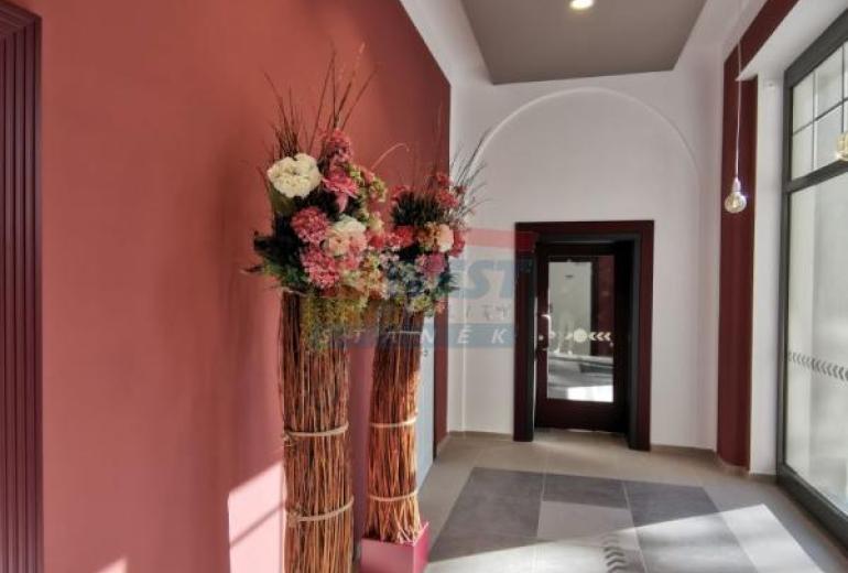 Pronájem nadstandardního bytu 2+kk v areálu Rezidence Šumava v Sušici