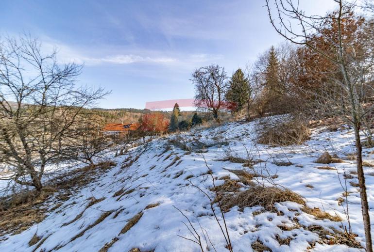 Prodej pozemku v Dolních Dvorcích u Kašperských Hor