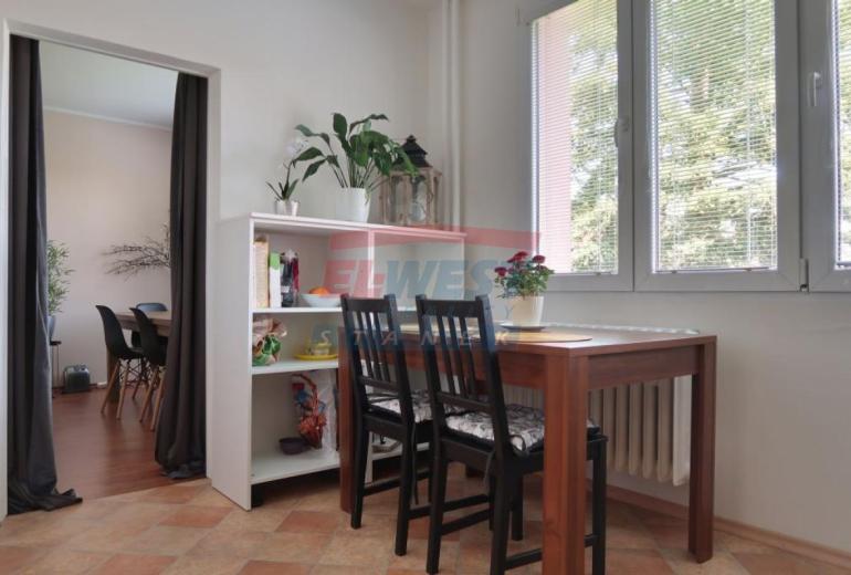 Pronájem pěkného bytu 2+1 v panelovém domě v Sušici