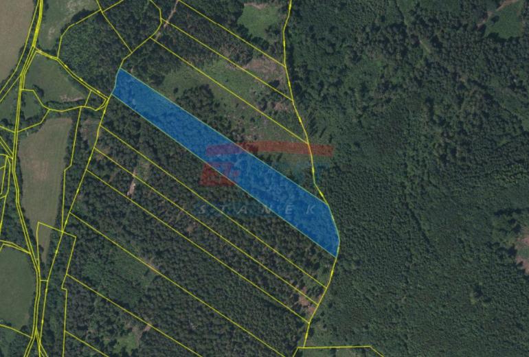 Prodej lesního pozemku 18 883 m² – Trsice, Petrovice u Sušice