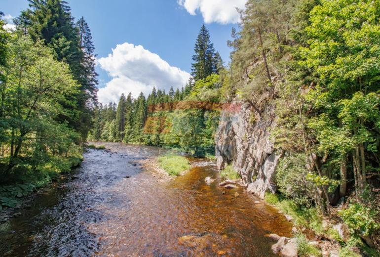 Prodej prostorného bytu 2+1 (99,9 m²) v klidném Anníně u Sušice