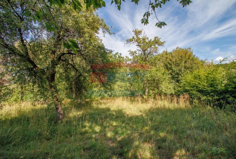 Rodinný dům na polosamotě uprostřed šumavské přírody s rozsáhlým stavebním pozemkem 4 804 m²