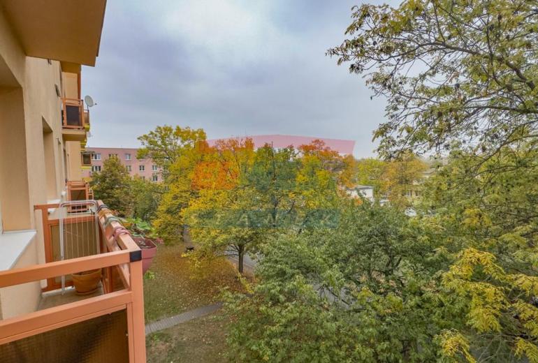 Prodej bytu 2+1 s balkonem, 51,9 m², Plzeň