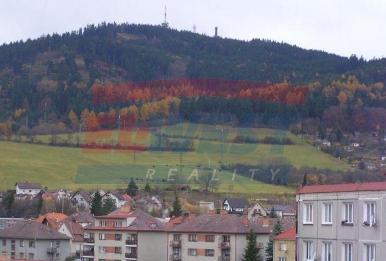 PRODEJ BYTU 2+1/LODŽIE V SUŠICI, UL. HRÁDECKÁ