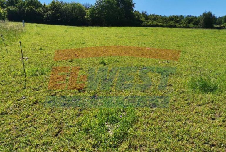 PRODEJ POZEMKU URČENÉHO K VÝSTAVBĚ CHATY, NEBO MALÉHO RD