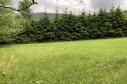 Prodej pozemku 650 m2 k výstavbě chaty v Sušici