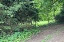 Prodej pozemku 650 m2 k výstavbě chaty v Sušici