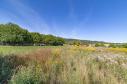 Na prodej pozemek 1096 m² v Sušici - Vaše investice do budoucna
