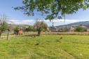 Na prodej pozemek 1096 m² v Sušici - Vaše investice do budoucna