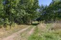 Na prodej pozemek 1096 m² v Sušici - Vaše investice do budoucna