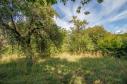 Rodinný dům na polosamotě uprostřed šumavské přírody s rozsáhlým stavebním pozemkem 4 804 m²