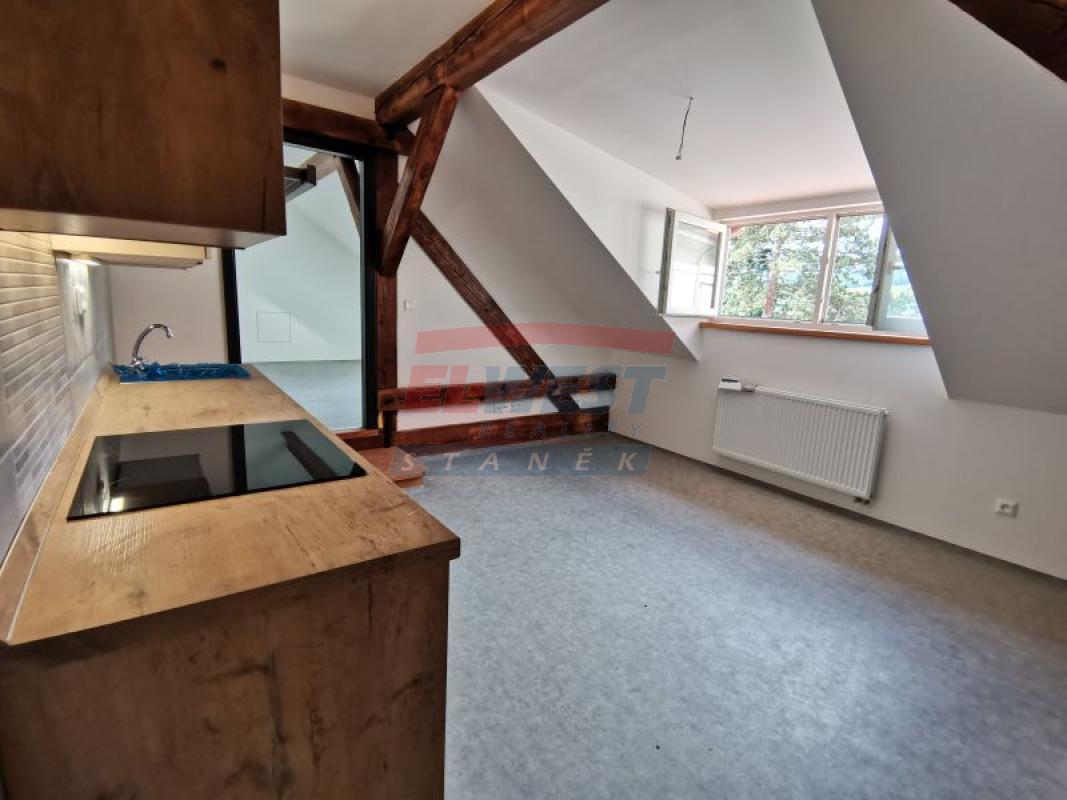PRONÁJEM NADSTANDARDNÍHO BYTU 2KK V SUŠICI
