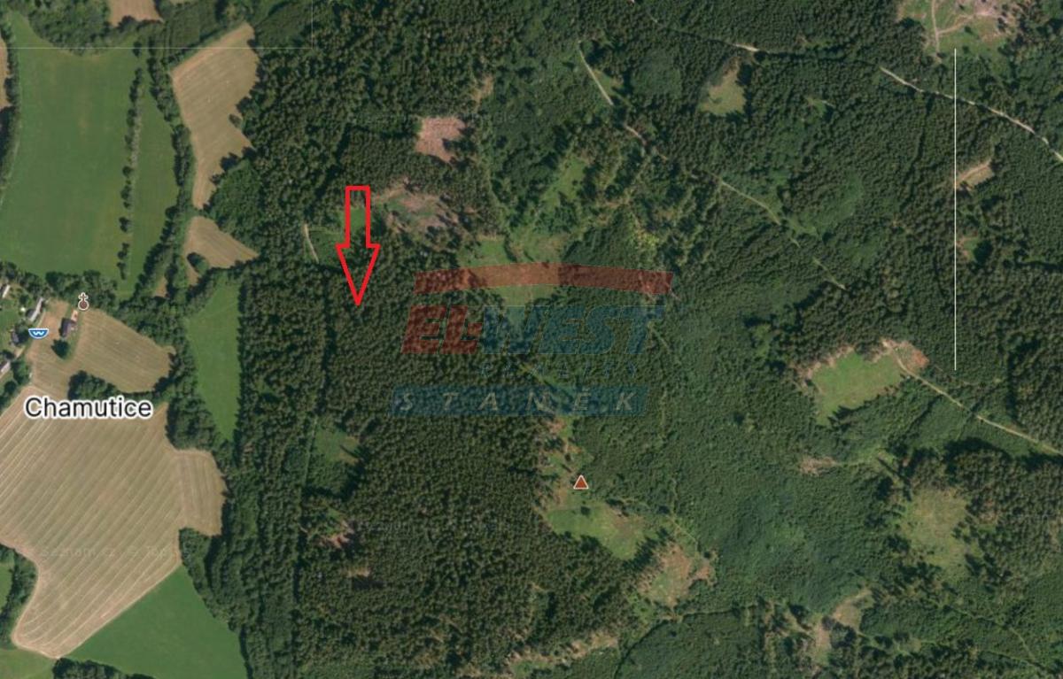 Prodej lesního pozemku 18 883 m² – Trsice, Petrovice u Sušice